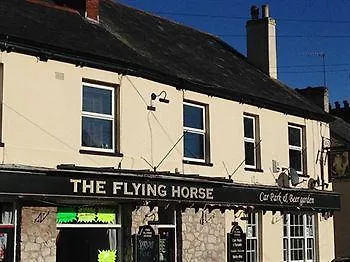 埃克塞特 Flying Horse酒店 2*,  英国